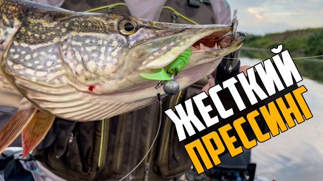 ЩУКА НА ПЕРВОМ ЗАБРОСЕ. Вечерняя рыбалка на спиннинг 2025