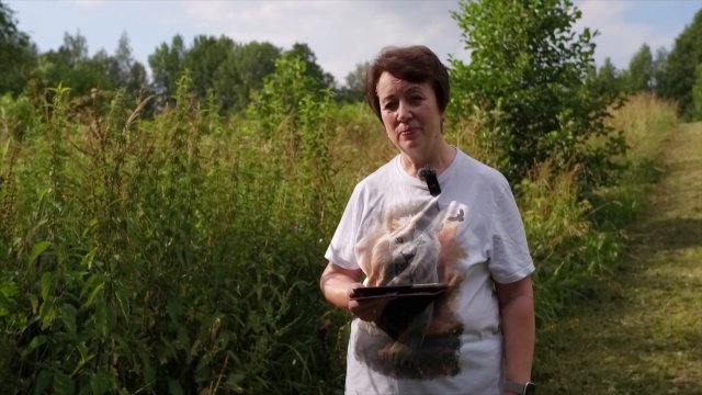 3623. Хлеб на каждый день. 28 августа. Псалом 88:20
