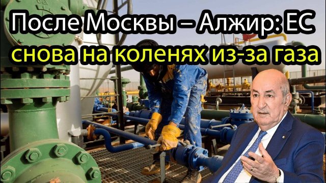 Алжир перекрывает кислород Испании: Евросоюз загнан в угол