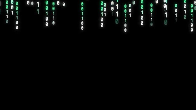 chatbot-intensive-1