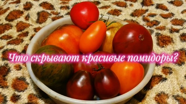 Помидоры очень красивые! А на вкус?