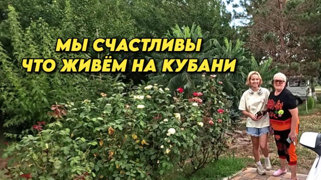 964 Обзор наших покупок/Жизнь семьи на юге/Дом на юге России