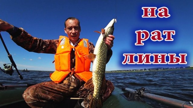 ЩУКА НА РАТЛИНЫ 🎣