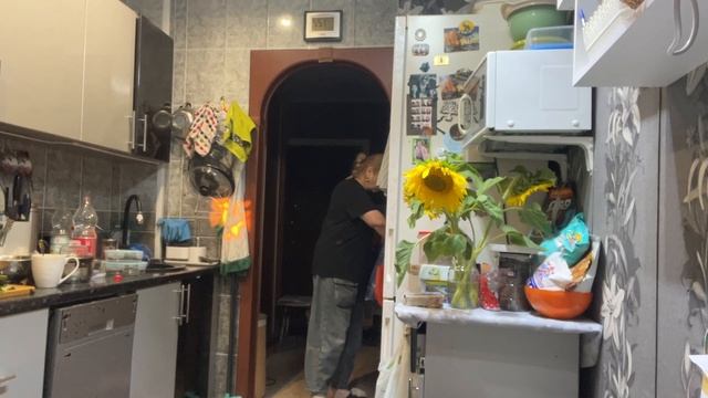 ВЛОГ