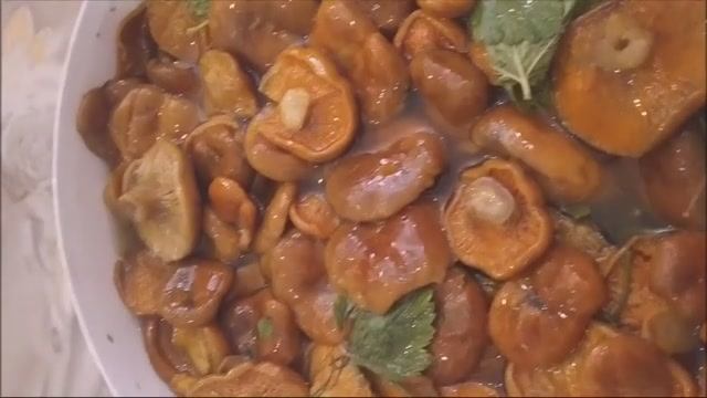 Самый вкусный и правильный способ засолки РЫЖИКОВ! Обалденно вкусно!