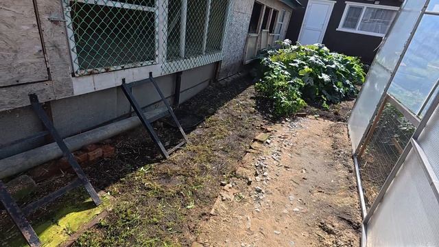 Все в дом. Гонка припасов на сибирскую зиму