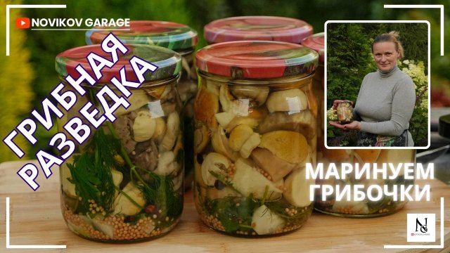 Грибная разведка - маринуем грибы