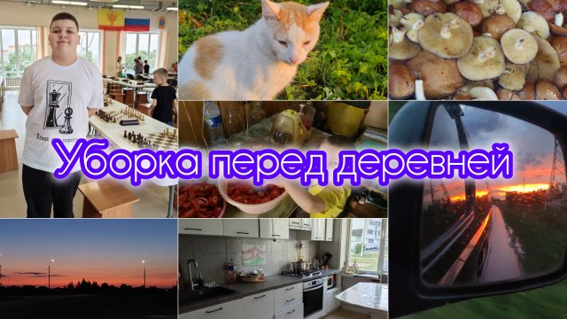 мотивация на уборку/разбираем завалы/заготовки в деревне