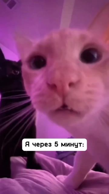 легко