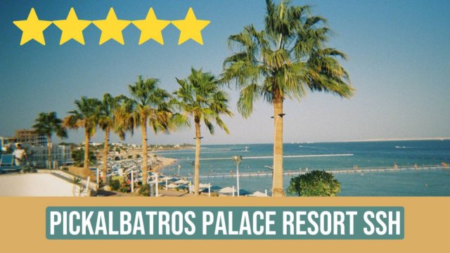 Pickalbatros Palace Resort SSH / Обзор отеля в Шарм-Эль-Шейхе