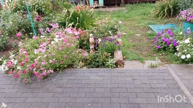 Ездили в район /покупки /посадка