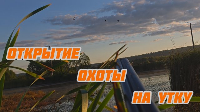 242-Открытие охоты на утку.(16-17.08.2025)