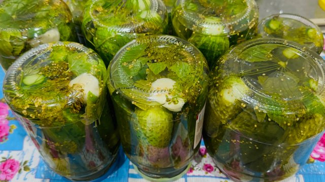 Огурцы маринованные на зиму в банках / Как замариновать вкусные и хрустящие огурцы на зиму