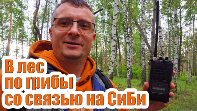 В лес по грибы со связью на СиБи