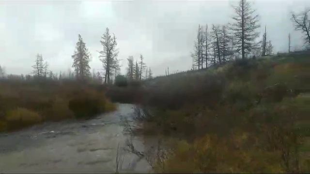 Река