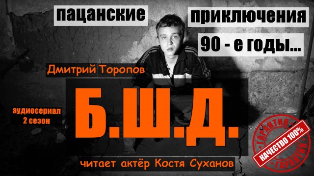 17 и 18 / Аудиокнига Б.Ш.Д. Приключения в 90 - е За забором интерната. читает актер Костя Суханов