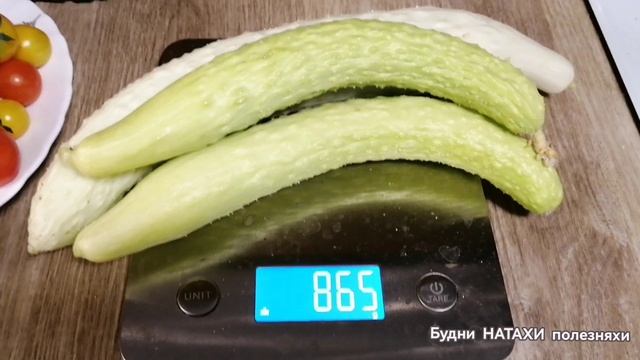Урожай за неделю! Что собрал муж?