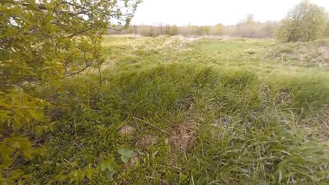 МЕТАЛЛОКОП . НАШЕЛ ХАБАРНОЕ МЕСТО. ЗАГРУЗИЛ ПОД ЗАВЯЗКУ.