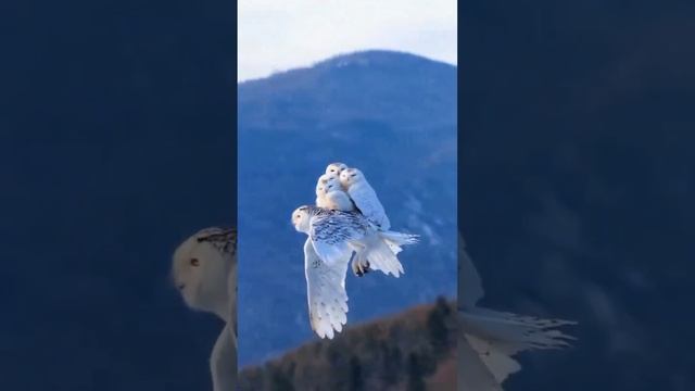 сказка о детстве