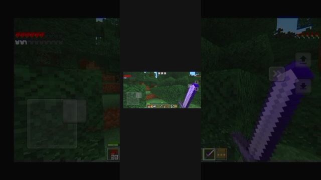 Minecraft, ВЫЖИВАНИЕ