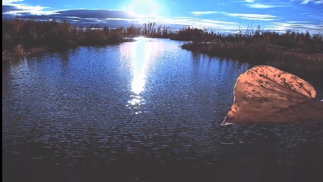 Гарик Сукачёв - Осень