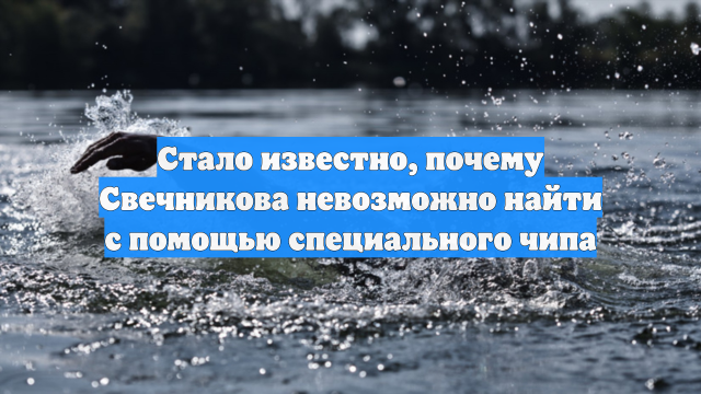 Стало известно, почему Свечникова невозможно найти с помощью специального чипа