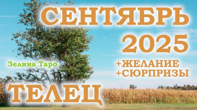 ТЕЛЕЦ | ТАРО прогноз на СЕНТЯБРЬ 2025 года | Желание | Сюрпризы | Расклад таро