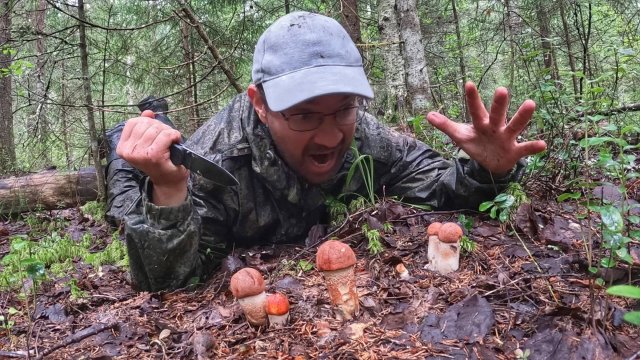 ГРИБНИК НАПАЛ НА СЛЕД ОЧЕНЬ КРАСИВЫХ ГРИБОВ | ЭТИ НАХОДКИ БУДОРАЖАТ ДУШУ ГРИБНИКА | ГРИБЫ 2025
