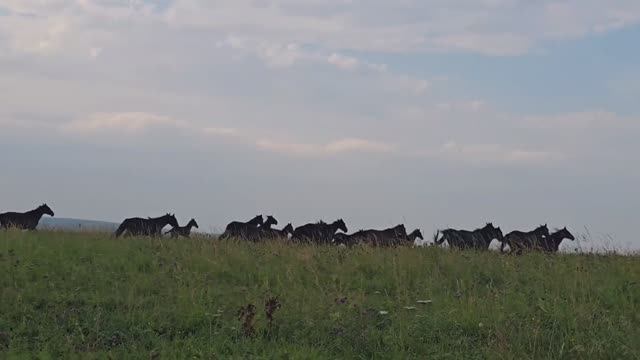 Любите мир таким, какой он есть!