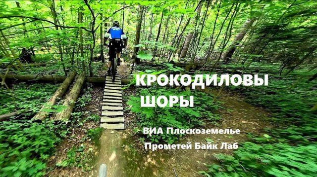 КРОКОДИЛОВЫ ШОРЫ, с ВИА Плоскоземелье.