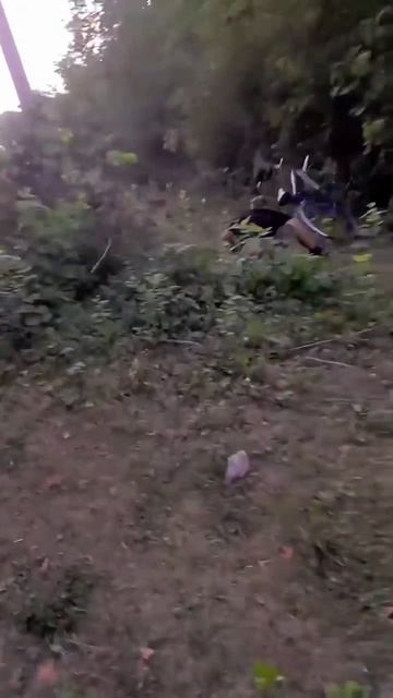 Андрюха 🤣