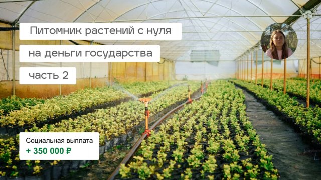 Питомник растений с нуля | моя история оформления соцконтракта | бизнес-план
