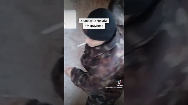 г. Мариуполь #красные дедовские голуби ещё сохранены#