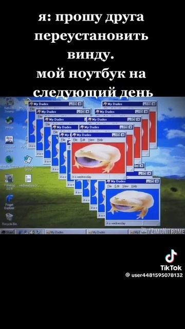 WednesdayOS . It is Wednesday , my dudes