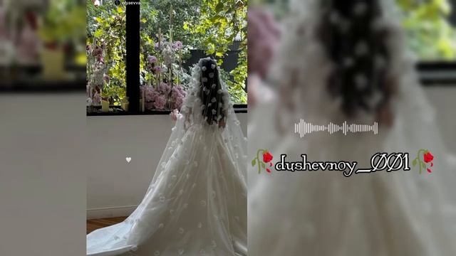 цыганская душевная песня 2025❤️🌹🕊
