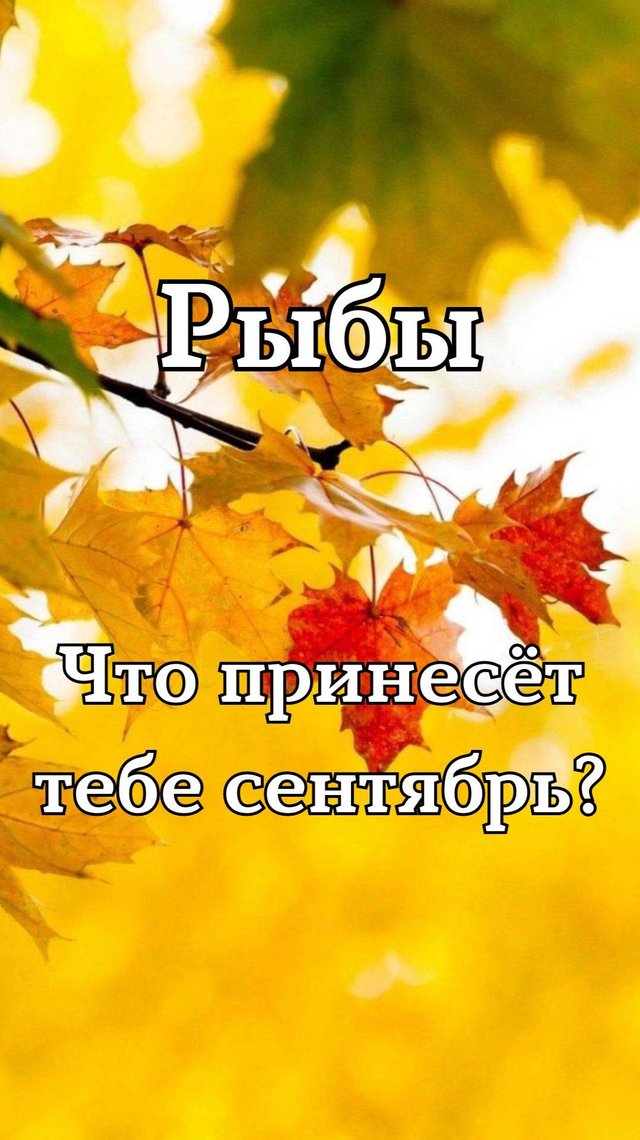 ✨Карта сентября✨Рыбы