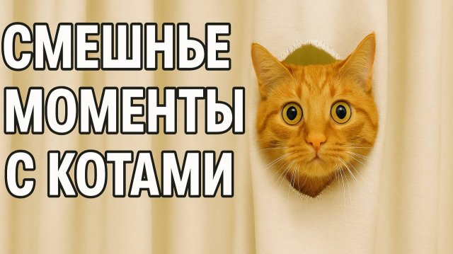 Смех до слёз: лучшие приколы №184