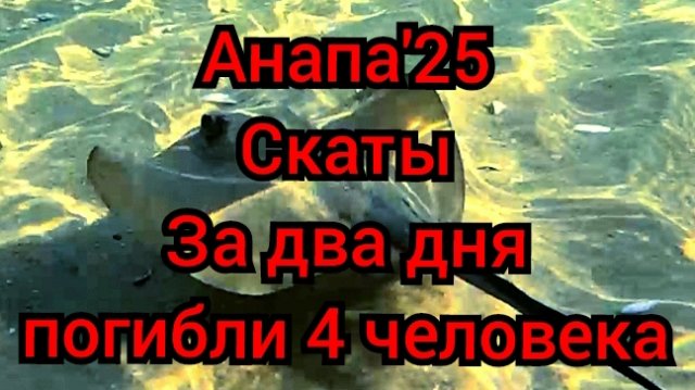 #Анапа #шторм #гибель людей #скаты на побережье 26-08-2025