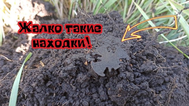 Коп монет на месте старой деревни. Поиск монет в поле 2025