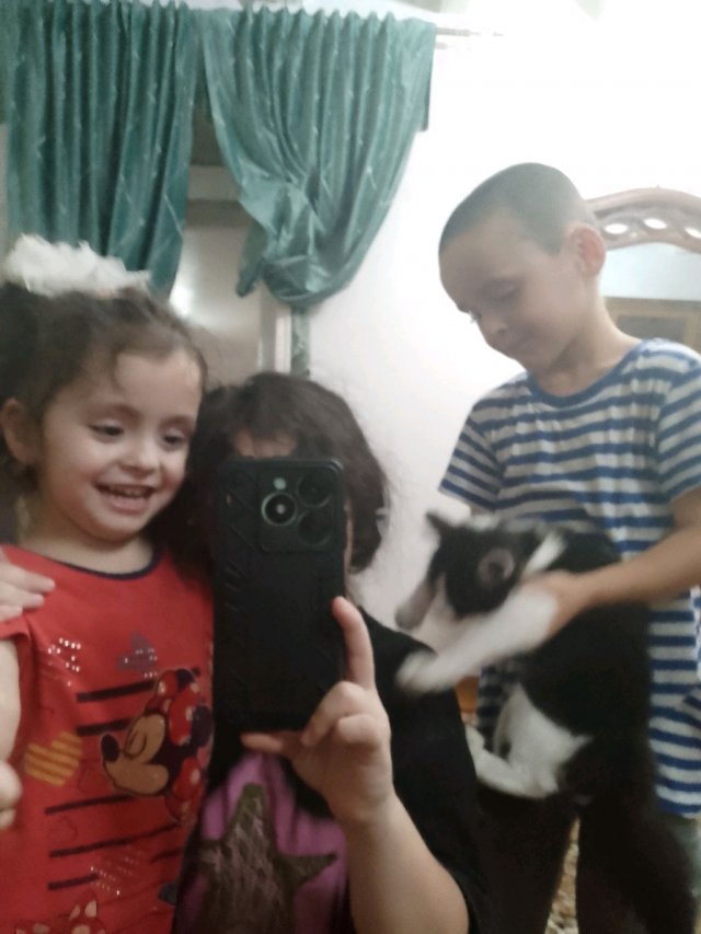 приветик