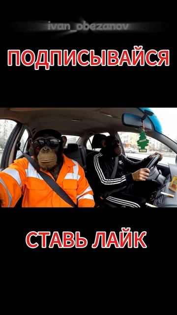Гоша Обезьянов с братом в автосервисе