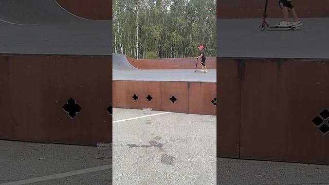рсс