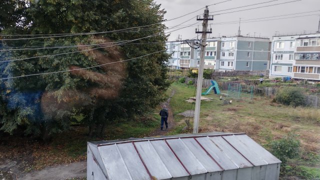 пасмурное утро в деревне