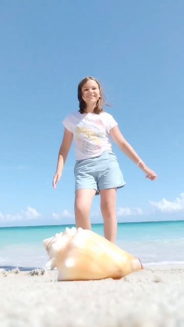 🐚🐚🐚