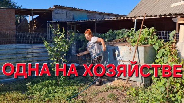722 Простая жизнь в станице на Кубани. Осталась одна на хозяйстве.