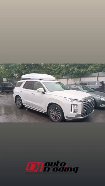 Отзыв клиента, Hyundai The New Palisade г. Москва | DI AUTO TRADING - Авто из Кореи