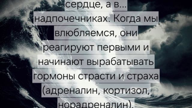 факт