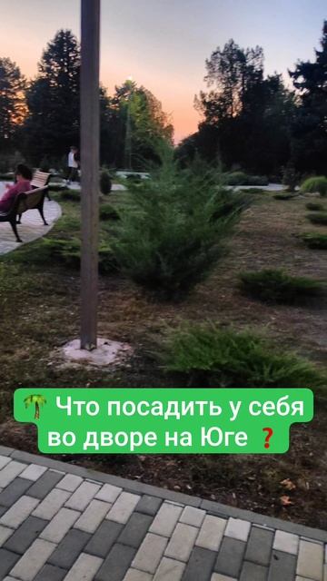 🌴 Что посадить у себя во дворе на Юге ❓Переезд на Юг. Виктор Саликов. 🌳
