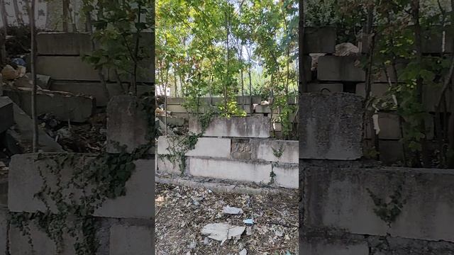 Декабристов участок.mp4