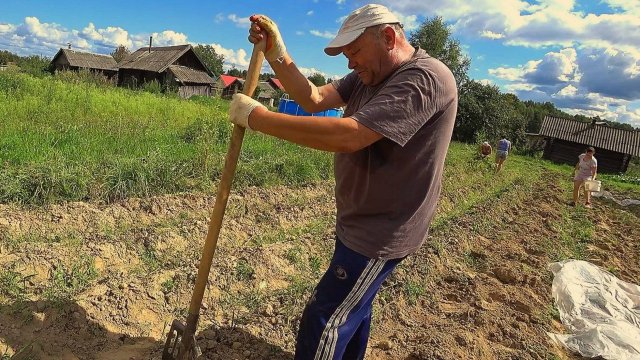 Общий сбор, едем в деревню, собрали урожай, дед как всегда...